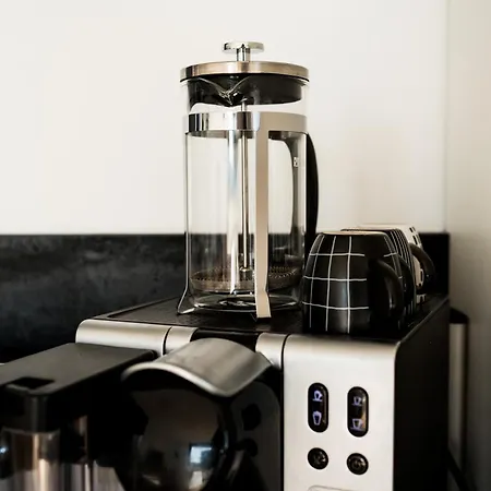 Appartement Moderne Mit Grosszuegigen 100qm In Der Dresdner Altstadt *