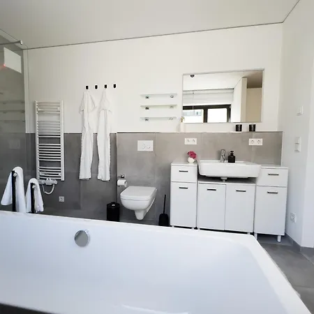 Appartamento Moderne Mit Grosszuegigen 100qm In Der Dresdner Altstadt