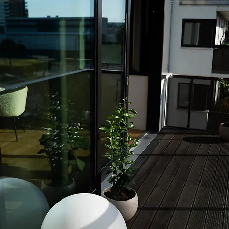 Moderne Mit Grosszuegigen 100qm In Der Dresdner Altstadt *