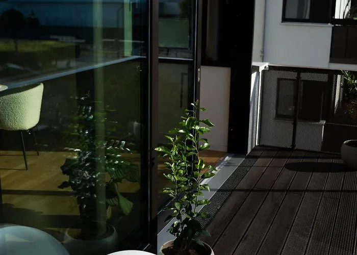 Moderne Mit Großzügigen 100qm In Der Dresdner Altstadt *