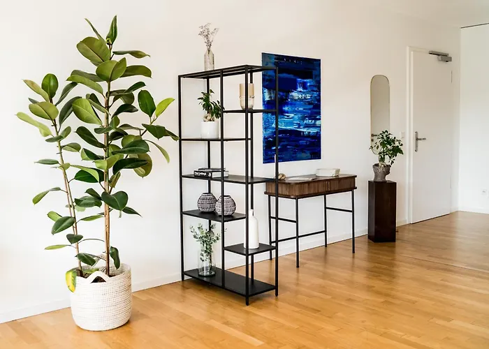 Moderne Mit Grosszuegigen 100qm In Der Dresdner Altstadt *