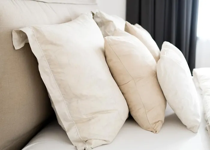 Moderne Mit Grosszuegigen 100qm In Der Dresdner Altstadt Appartement *