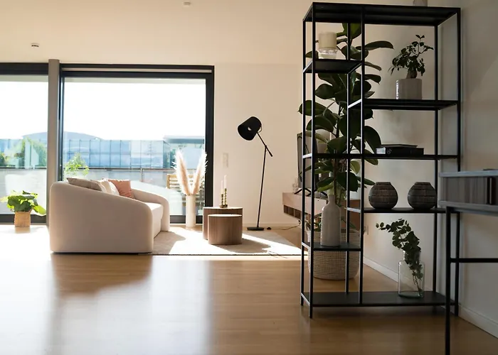 Moderne Mit Grosszuegigen 100qm In Der Dresdner Altstadt * Dresden