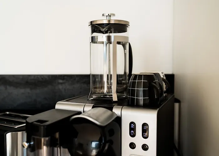 Appartement Moderne Mit Grosszuegigen 100qm In Der Dresdner Altstadt *